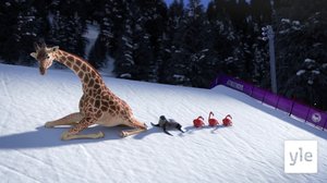 Freestylehypyt (S): 21.12.2019 01.00