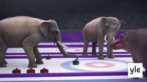 Curling (S): 21.12.2019 01.00