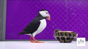 Kohtaaminen (S): 21.12.2019 01.00