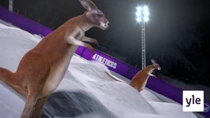 Kumparelasku (S): 21.12.2019 01.00