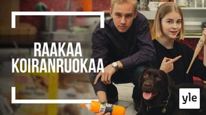 "TÄÄ ON NIIN PA*KA ET SUN MUMMOKAA EI HALUU SOITTAA SULLE": 25.12.2019 00.01