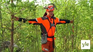 Fiksuja vinkkejä metsänomistajille: 25.12.2019 00.01