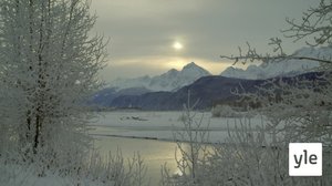 Luontohetki: Kotkat, ilmojen valtiaat: 28.12.2019 00.01