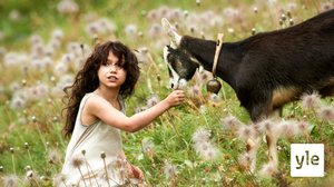 Heidi (7): 28.12.2019 06.00