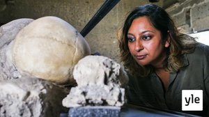 Historia: Pompejin viimeiset hetket: 30.12.2019 06.00