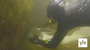 Elämää äärirajoilla: 29.12.2019 00.01