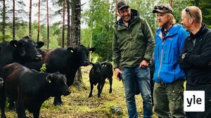 Ruokaa ilman rehevöitymistä?: 29.12.2019 00.01