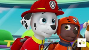 Pennut pelastavat Pujolat pulasta / Pennut pelastavat sorsalammen (S): 29.12.2019 08.19