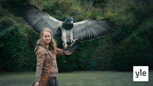 Hauras alku: 29.12.2019 00.01