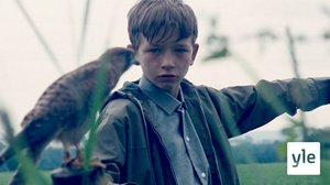 Poika ja haukka (7): 02.01.2020 06.00