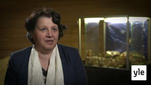 Pisara: 04.01.2020 13.40