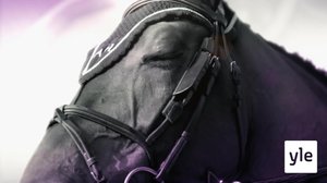 Ratsastuksen maailma: 05.01.2020 13.34