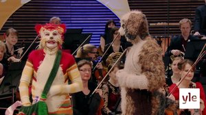 Katti konsertissa!: 06.01.2020 09.22