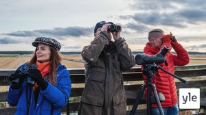 Söderfjärden, Suomen kaunein kraateri: 05.01.2020 00.01