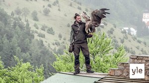 Donauwörthistä Rothenburgiin: 08.01.2020 00.01