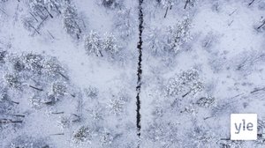 Pohjoisen selluhankkeita varjostavat isot ympäristöriskit: 10.01.2020 11.12