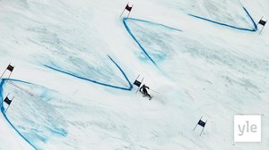 Alppihiihdon MC, Adelboden, miesten suurpujottelun 2. lasku: 11.01.2020 15.48