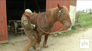 Tanskalainen maajussi : 15.01.2020 17.25