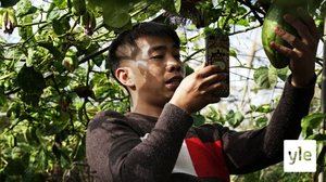 Kiinalaiset maanviljelijät ovat suosittuja sometähtiä: 20.01.2020 11.29