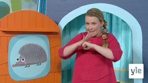 Opi viittomaan siili: 23.01.2020 18.00