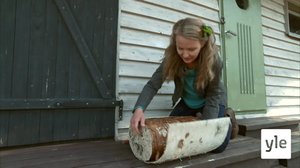 Koivusta lamppu: 26.01.2020 00.01