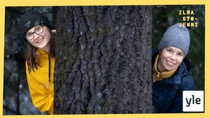 Metsät: Roosa istutti puun taimia sitomaan päästöjä – pitääkö meidän kaikkien ryhtyä istutustalkoisiin?: 27.01.2020 00.01