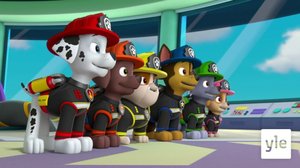 Huipputehtävä: Pennut ja peltimonsteri (S): 26.01.2020 08.16