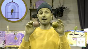 Färger: 05.02.2020 06.00