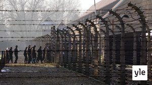 Auschwitzin vapautuksen muistotilaisuus: 27.01.2020 19.37