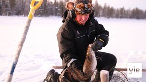 Madesesonki on parhaimmillaan, mutta madetta ei tahdo saada mistään: 31.01.2020 10.39