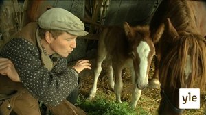 Tanskalainen maajussi : 05.02.2020 17.25