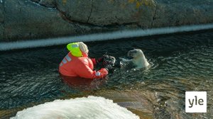 Veden ihmeellinen luonto: 09.02.2020 00.01