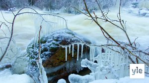 Myyttinen vesi: 09.02.2020 00.01