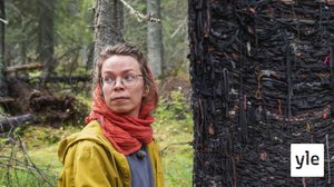 Kulttuuria ja ikimetsää Hyrynsalmella: 12.02.2020 00.01