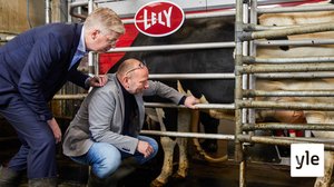 Lypsyrobotti: 14.02.2020 00.01