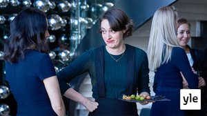 Fleabag (12) (S): 19.02.2020 22.05