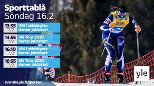Världscupen på skidor, herrarnas jaktstart (svenskt referat): 16.02.2020 15.45