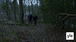 Juhat luonnossa: Nukkuvat linnut: 17.02.2020 11.13