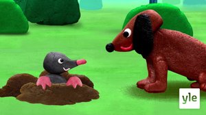 Kaapo Koira (S): 20.02.2020 18.00