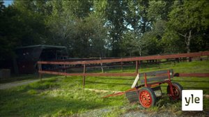 Onnistuuko elämä maalla? : 21.02.2020 10.00