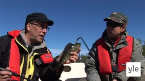 Ahventa Merenkurkusta: 22.02.2020 00.01