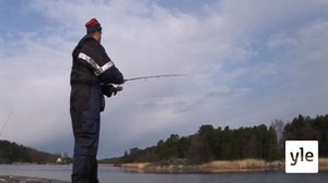 Siikaa rajan pinnasta: 22.02.2020 00.01