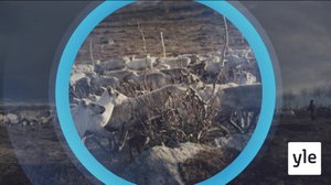 Oddasat: 18.02.2020 22.00