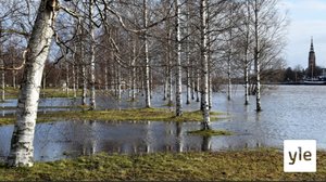 Järvivedet ovat harvinaisen korkealla ja joet virtaavat valtoimenaan: 20.02.2020 10.43