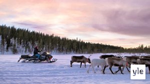 Avoin meri - jäinen maa: 24.02.2020 11.40