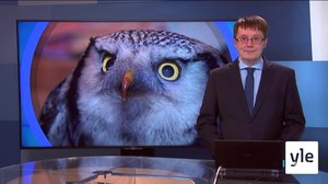 Oddasat: 24.02.2020 22.00