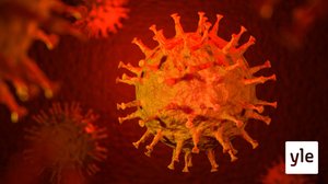 Svenska Yle live: Corona just nu: 26.02.2020 18.49