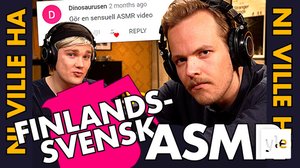NI VILLE HA: Finlandssvensk ASMR: 28.02.2020 11.10