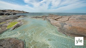 Ainutlaatuinen Saaristomeri kaipaa pikaista hoitoa: 02.03.2020 09.39