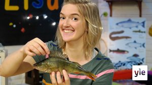 Lisas fiske-vecka (S): 23.03.2020 01.00